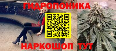 гашик Бузулук