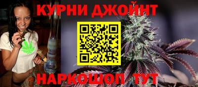 гашик Бузулук