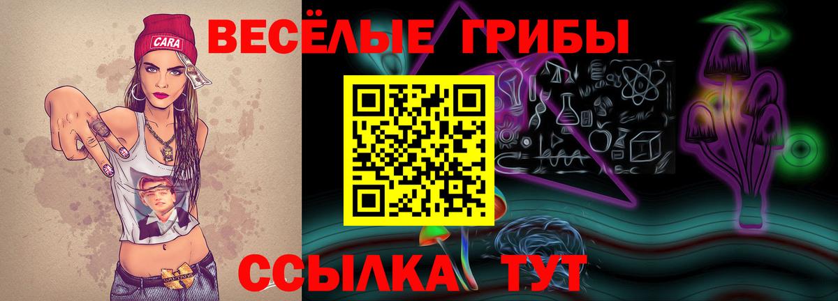 Галлюциногенные грибы Psilocybine cubensis Лиски